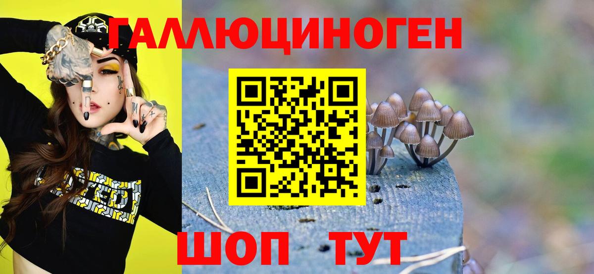 Галлюциногенные грибы Cubensis  Вход с VPN  Славгород 