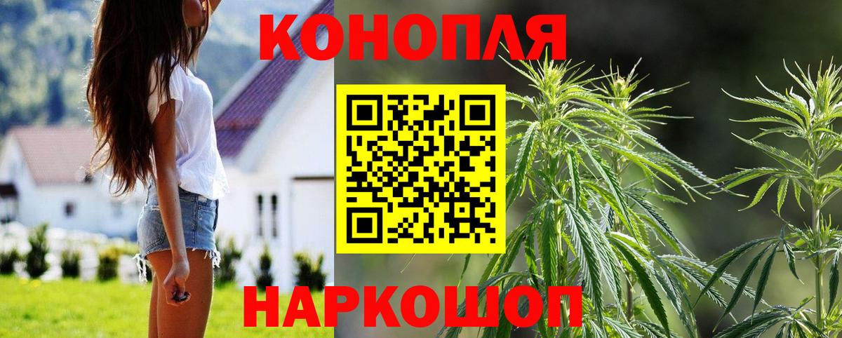 Конопля SATIVA & INDICA  Марихуана семена  Славгород  Вход с VPN  Канабис семена 